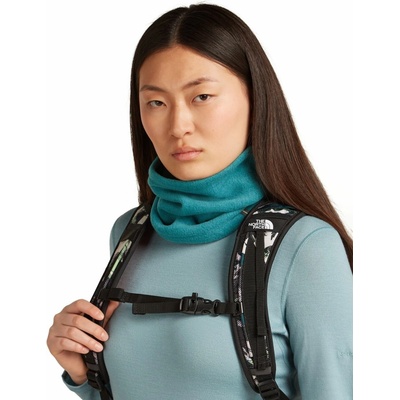 Icebreaker Unisex 800 RF Class Pile Chute Topaz