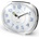 MPM C01.4055.70