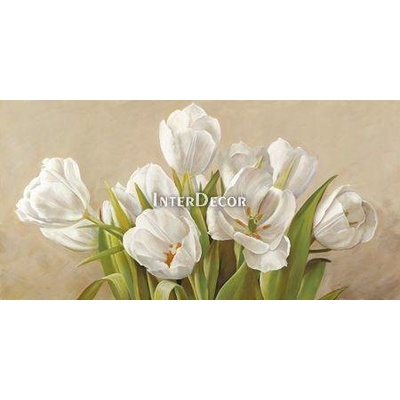 Obraz bílé tulipány 1 deska 100x50