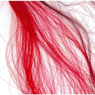 Elyseé Infinity Hair Color Mousse barevné pěnové tužidlo 5.6 Ruby rubínová 75 ml