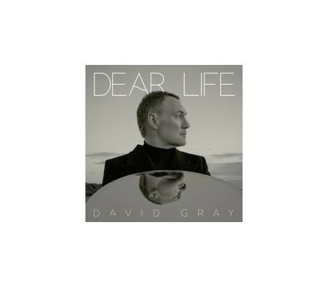 Gray David - Dear Life CD
