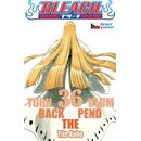 Bleach 36: Turn Back The Pendulum