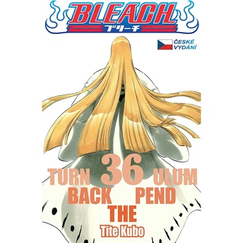 Bleach 36: Turn Back The Pendulum
