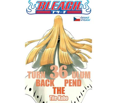 Bleach 36: Turn Back The Pendulum
