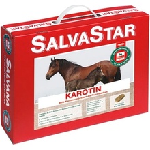 Salvana SALVASTAR Karotin 5 kg