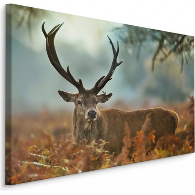 MyBestHome BOX Plátno Nádherný Jelen V Období Říje Varianta: 90x60