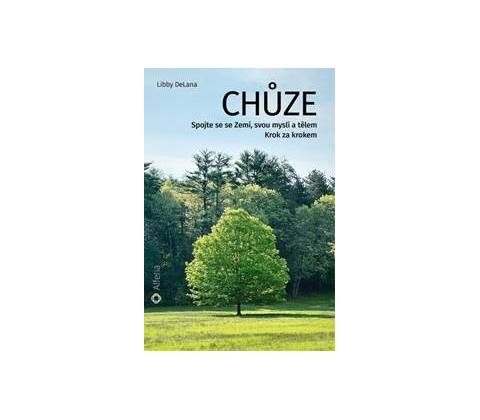 Chůze