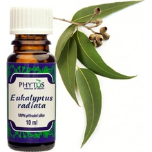 Phytos Eukalyptus radiata 100% přírodní silice 10 ml
