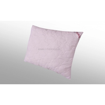 2G vankúš Aneta 350g 60x40