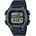Casio DW-291HX-1A