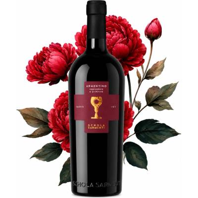 Schola Sarmenti Armentino Salento Rosso IGT 6 x 0,75 l (Kartón)
