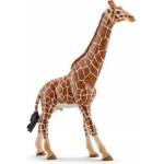 Schleich Wild Life Giraffenbulle