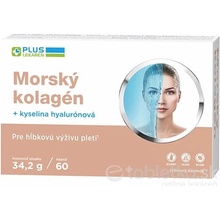 Plus Lekáreň Morský kolagén + kyselina haylurónová 60 kapsúl