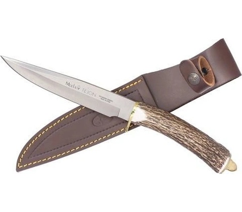 Muela Tejon 16
