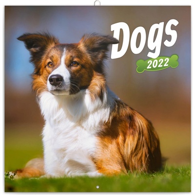 Poznámkový Psi 2022
