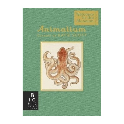 Animalium - Mini Gift Edition Welcome to theJenny Broom, Katie Scott