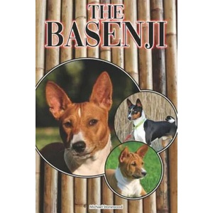 The Basenji: A Complete and Comprehensive Beginners Guide To: Buying, Owning, Health, Grooming, Training, Obedience, Understanding | Michael Stonewood (ISBN: 9781090612519)