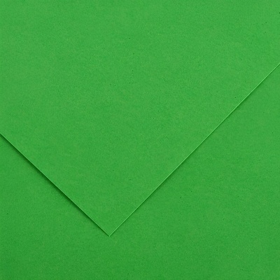 Canson Vivaldi 50x65 cm Bright Green 29 240 g Цветна хартия (C200040382)