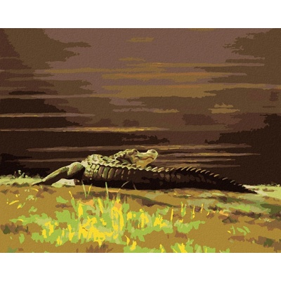 zuty Malování Podle Čísel Aligátor Ležící U Vody Iii D. Rusty Rust 80 x 100 Cm Plátno Rám