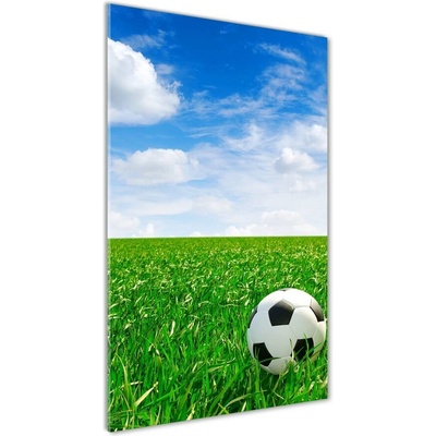Vertikálny foto obraz sklenený Futbal na lúke 50x100 cm