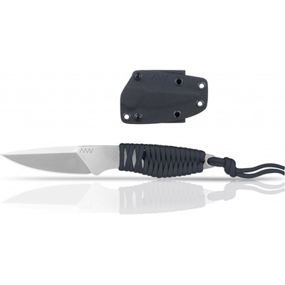 ANV P100 P100-003