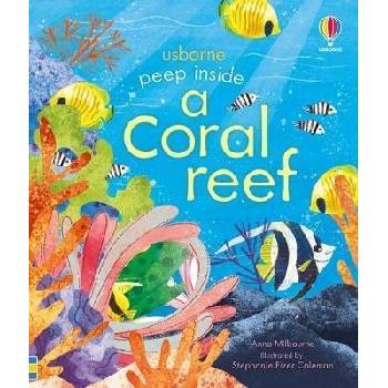 Peep inside a Coral Reef