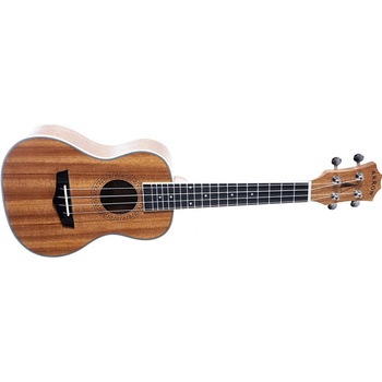 Arrow MH10 PLUS