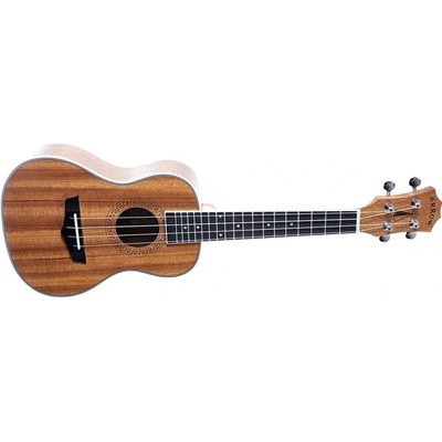 Arrow MH10 PLUS