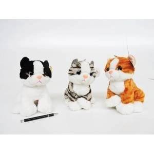 DEEF Pregated kitten 03653 DEEF