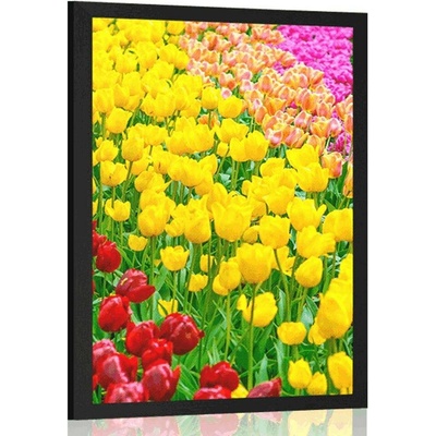Plakát zahrada plná tulipánů - 30x45 black