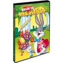 Valentýn králíčka Bugse DVD