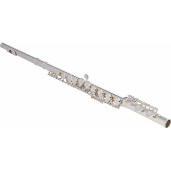 Bacio Instruments BFL-150C