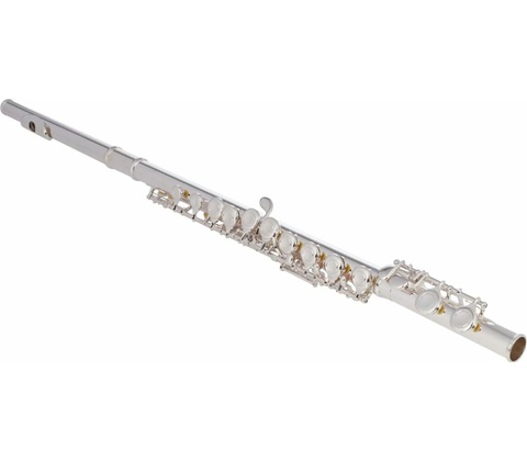 Bacio Instruments BFL-150C