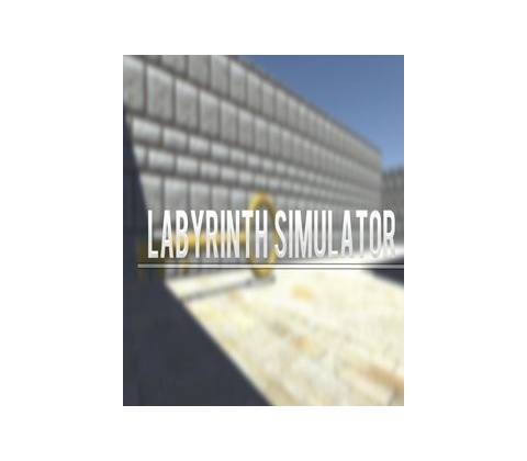 Labyrinth Simulator