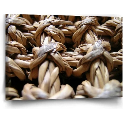 Sablio Obraz Banánové listy - 90x60 cm