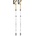 LEKI Cressida FX Carbon AS