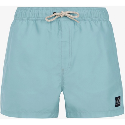 Protest Мъжки плажни шорти Protest PRTSTILO Protest | Sin | МЪЖЕ | XL