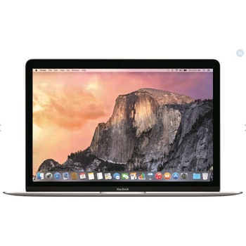 Apple MacBook MF865SL/A