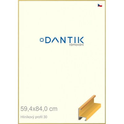 DANTIK rám na obraz 59,4x84 Dýha barevná žlutá