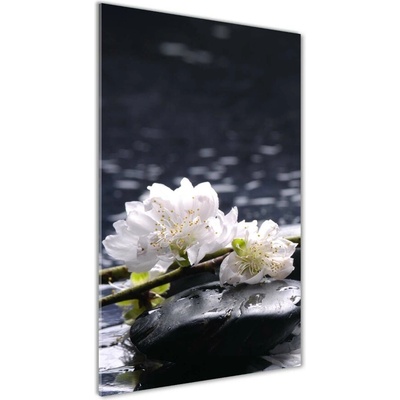 Vertikálny foto obraz sklenený Kvety a kamenia 50x100 cm