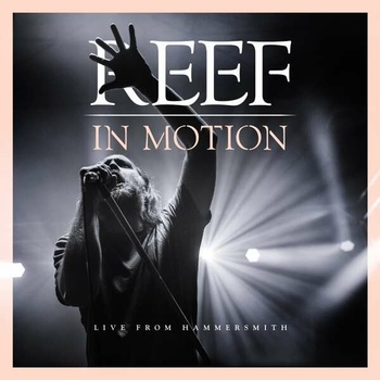 REEF - IN MOTION CD