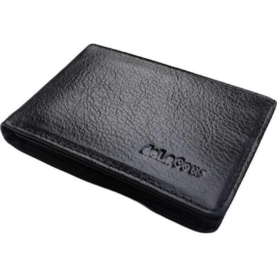 Delacour mini model black- (311 . 1)