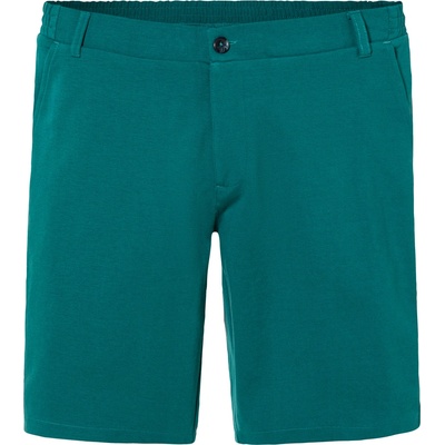 Livergy pánske šortky zelená 100373773