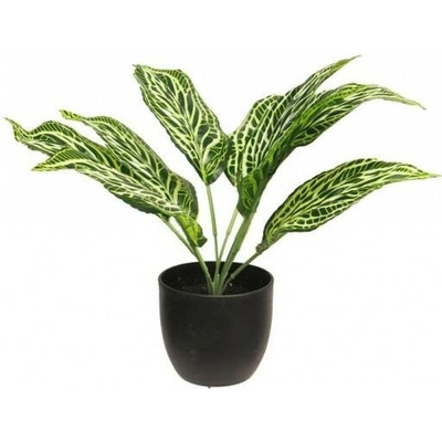 Umělá aglaonema Sunshine, v květináči, zelená, výška 30 cm