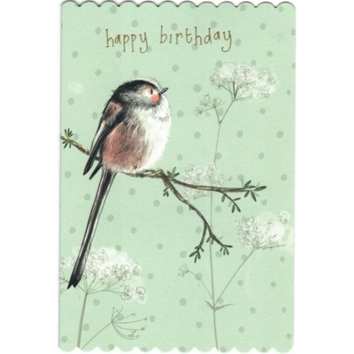 Přání s obálkou - Long Tail Tit - Alex Clark