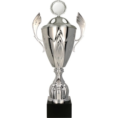 Kovový pohár s poklicí Stříbrný 56 cm 20 cm