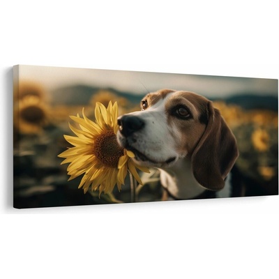 Obraz beagle so slnečnicou