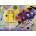 Ravensburger - Puzzle Kandinsky Wassily: Yellow, red, blue - 1 000 piese