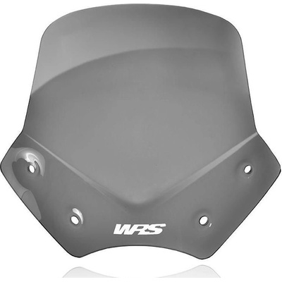 WSCRN SPORT R1200R DSMK BM046FS – Hledejceny.cz