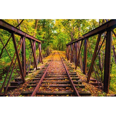 Dimex XL-517 vliesová fototapeta na zeď Railroad rozměry 330 x 220 cm